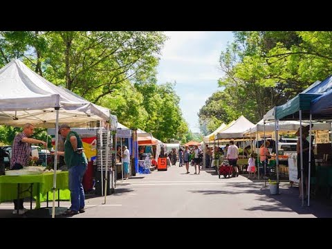 Beaver Brook Market 4